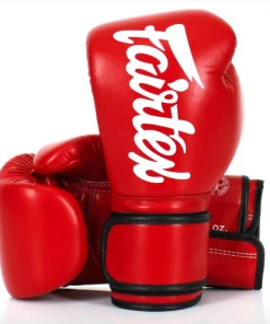 Fairtex Microfiber Lightweight Boxing Gloves (BGV14)