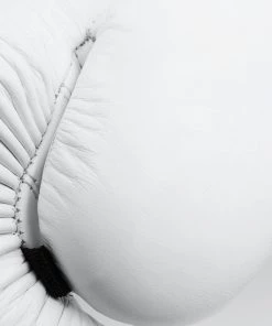 Boxing Gloves Adidas Speed 175 Boxing Glove