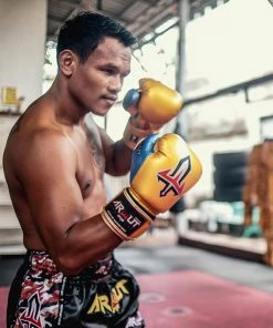 Arwut Muay Thai Boxing Gloves BG1