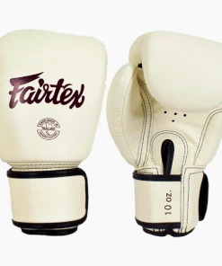 Fairtex Leather Boxing Gloves (BGV16)