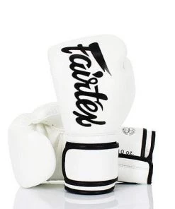 Fairtex Microfiber Lightweight Boxing Gloves (BGV14)