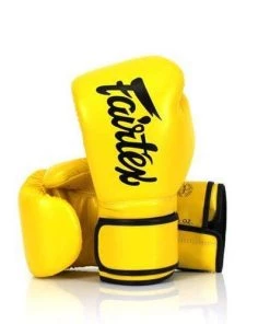 Fairtex Microfiber Lightweight Boxing Gloves (BGV14)