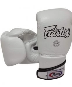 Fairtex Muay Thai Boxing Gloves (BGV6)