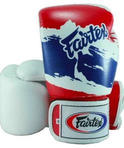 Fairtex Thai Pride Muay Thai Boxing Gloves (BGV1)