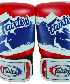 Fairtex Thai Pride Muay Thai Boxing Gloves (BGV1)