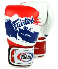 Fairtex Thai Pride Muay Thai Boxing Gloves (BGV1)