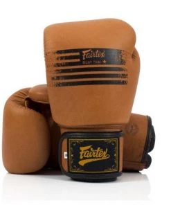 Fairtex Legacy Boxing Gloves (BGV21)