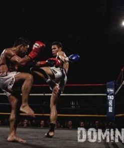 TKO Muay Thai Leather Boxing Gloves