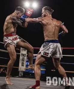 TKO Muay Thai Leather Boxing Gloves