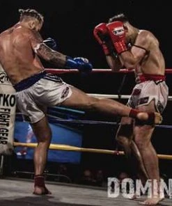 TKO Muay Thai Leather Boxing Gloves