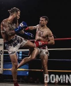 TKO Muay Thai Leather Boxing Gloves