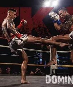 TKO Muay Thai Leather Boxing Gloves