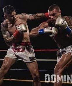 TKO Muay Thai Leather Boxing Gloves