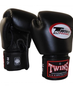 Twins Special Muay Thai Training Package