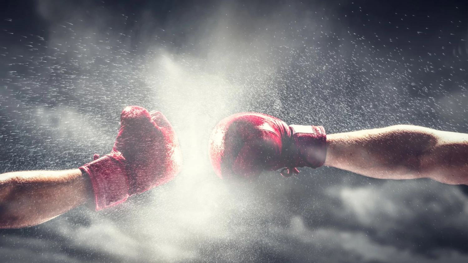 Fight Gear Direct Sales -Fight Gear Direct Sales 89